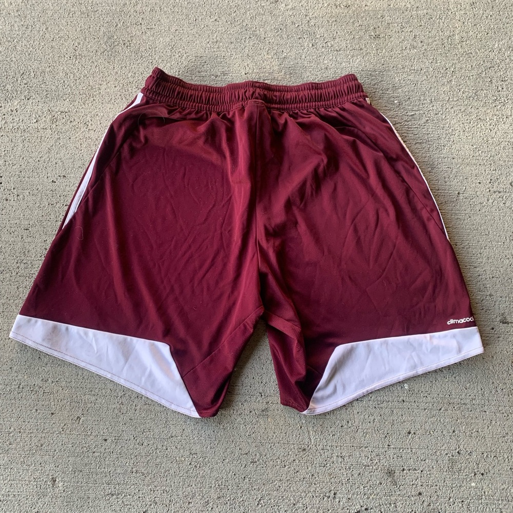 Adidas Shorts - Picture 2 of 3